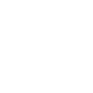 linkedin icon